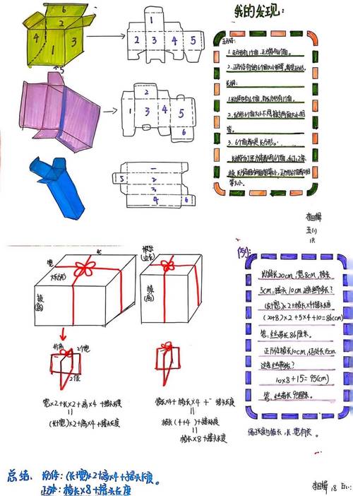 人类极限寿命的数学模型(人类极限寿命的数学模型有哪些)