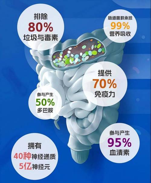 肠道菌群操控情绪实证(肠道菌群调节需要多长时间)