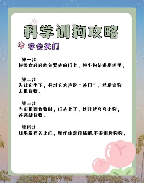 给宠物讲量子物理的教案(如何教你的狗学量子力学)
