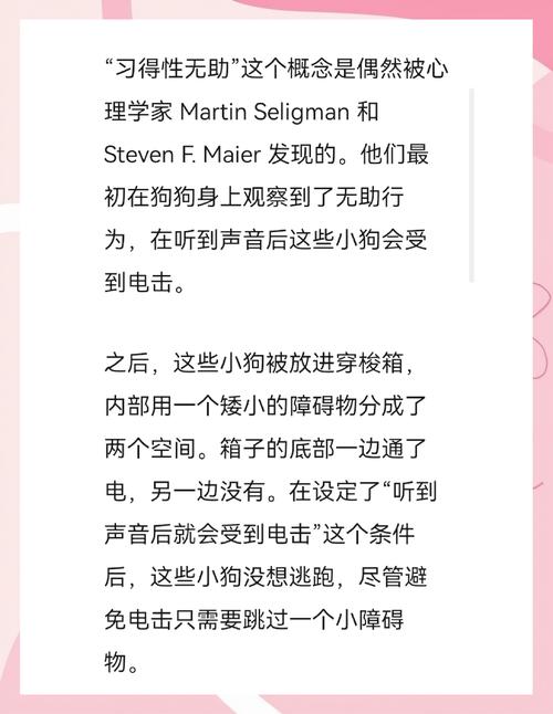 给宠物讲量子物理的教案(如何教你的狗学量子力学)
