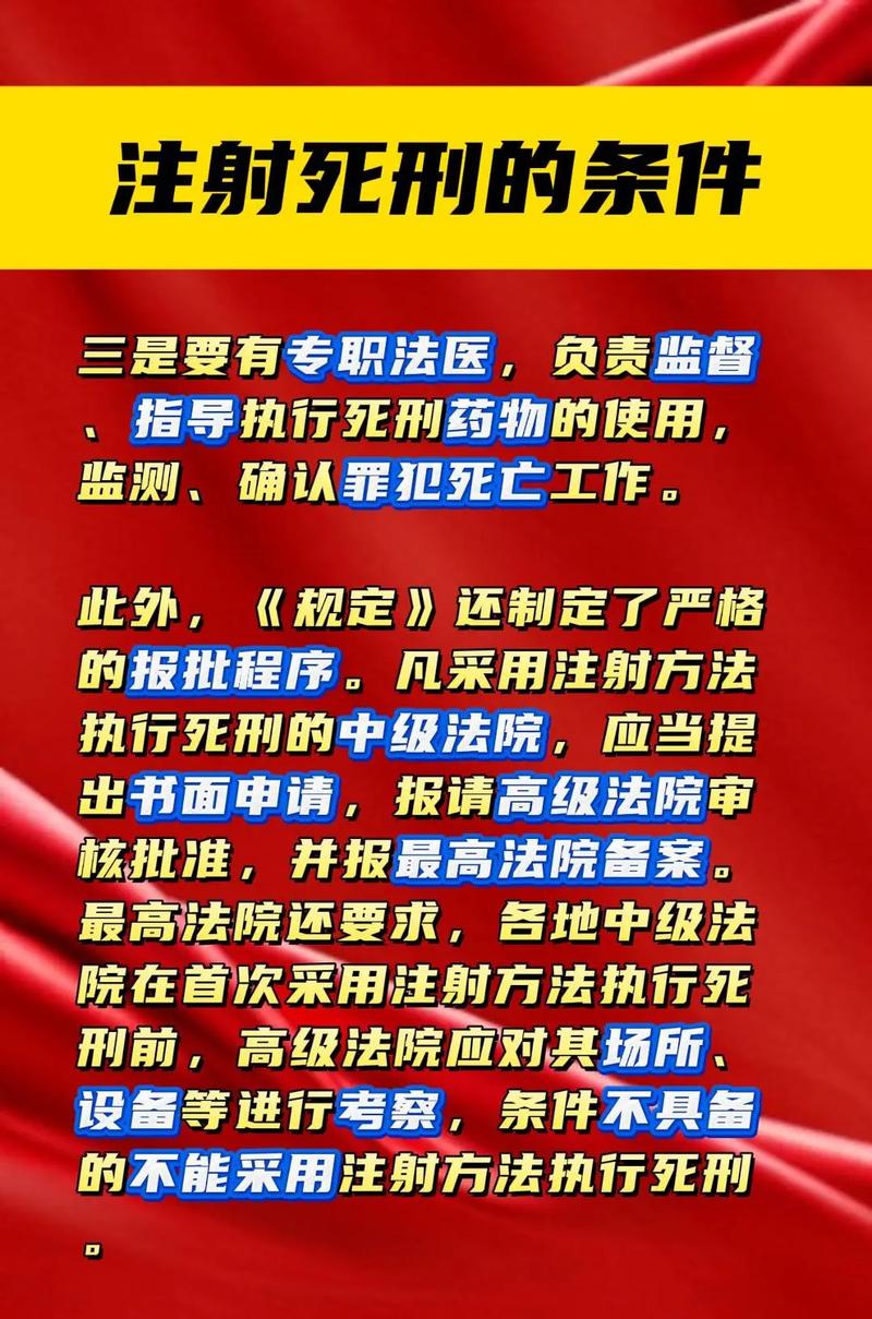 意识上传后的死刑执行的简单介绍
