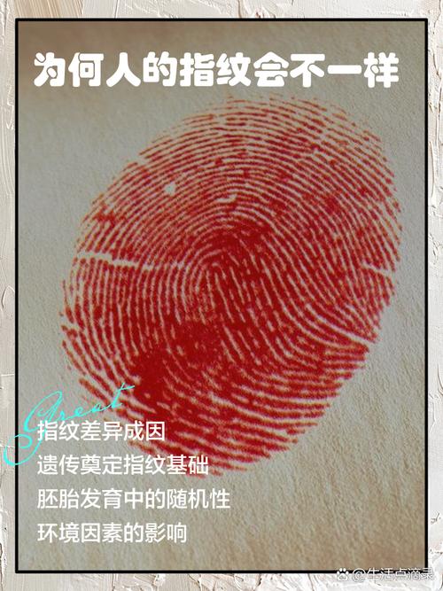 指纹形成背后的混沌理论(指纹混乱)