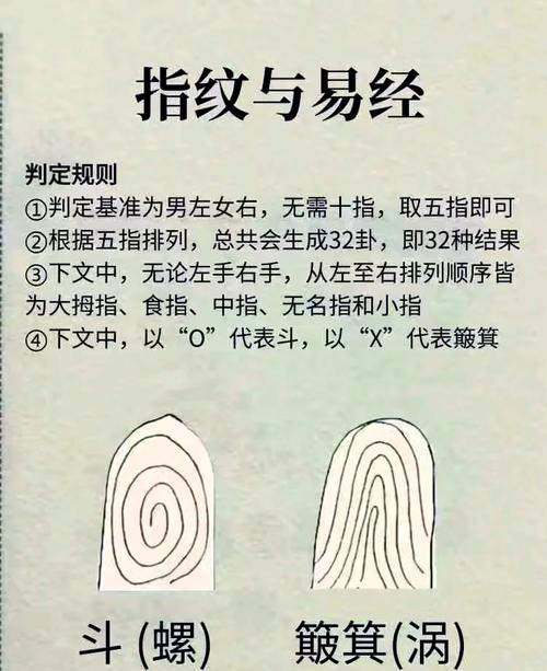 指纹形成背后的混沌理论(指纹混乱)