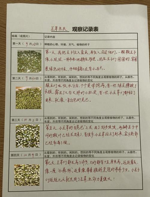 打工人办公室植物生存报告的简单介绍