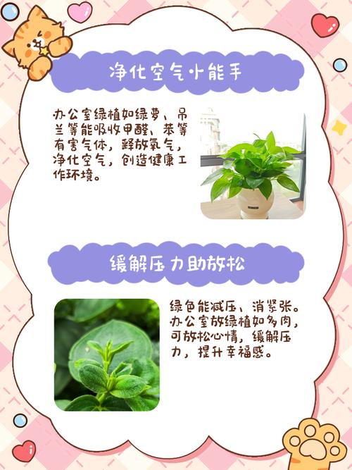 打工人办公室植物生存报告的简单介绍