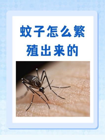 用《民法典》规范蚊子吸血(蚊子吸血行为)