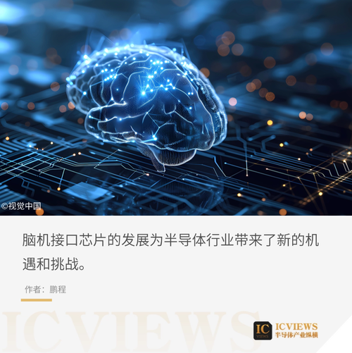 全球脑联网的集体癔症(全球脑数字科技有限公司)