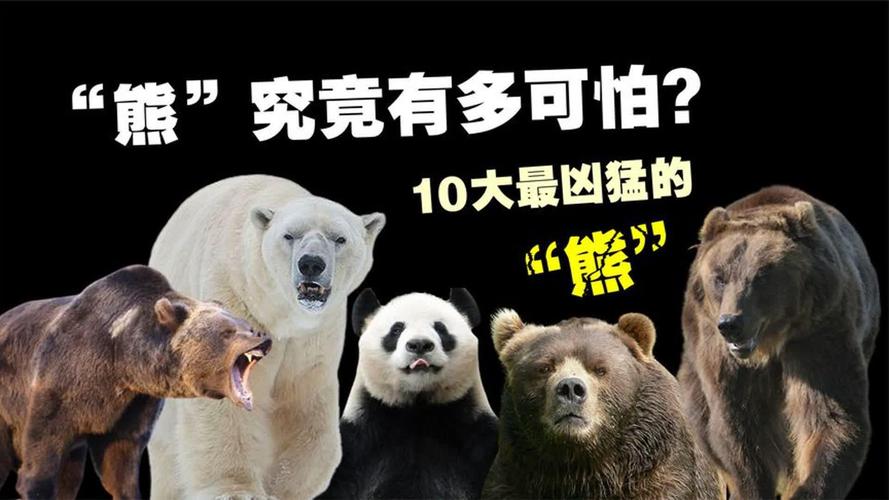 北极熊的皮肤是黑色(北极熊黑色的皮肤有什么作用)