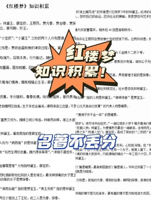 包含用地质学分析《红楼梦》的词条