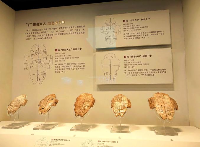 殷墟甲骨文中的传染病(殷墟甲骨文的重大发现在中华文明乃至人类文明发展史上)