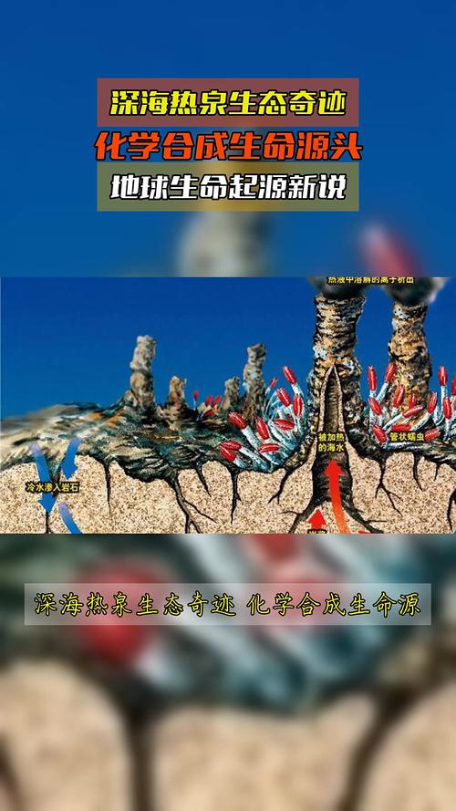 深海热泉生态圈启示录（深海热泉生态系统中的能量最初来源于）