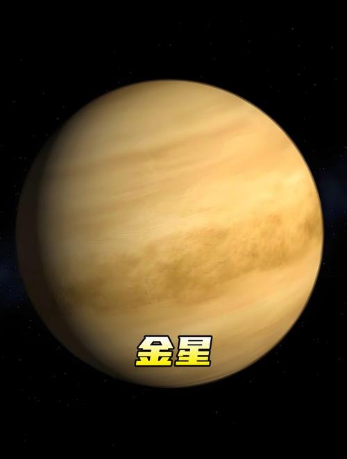 金星云层的嗜极微生物(金星云层的嗜极微生物有哪些)