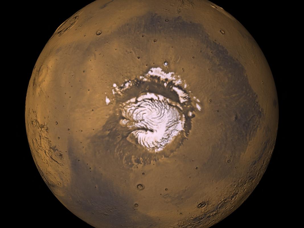 金星云层的嗜极微生物(金星云层的嗜极微生物有哪些)