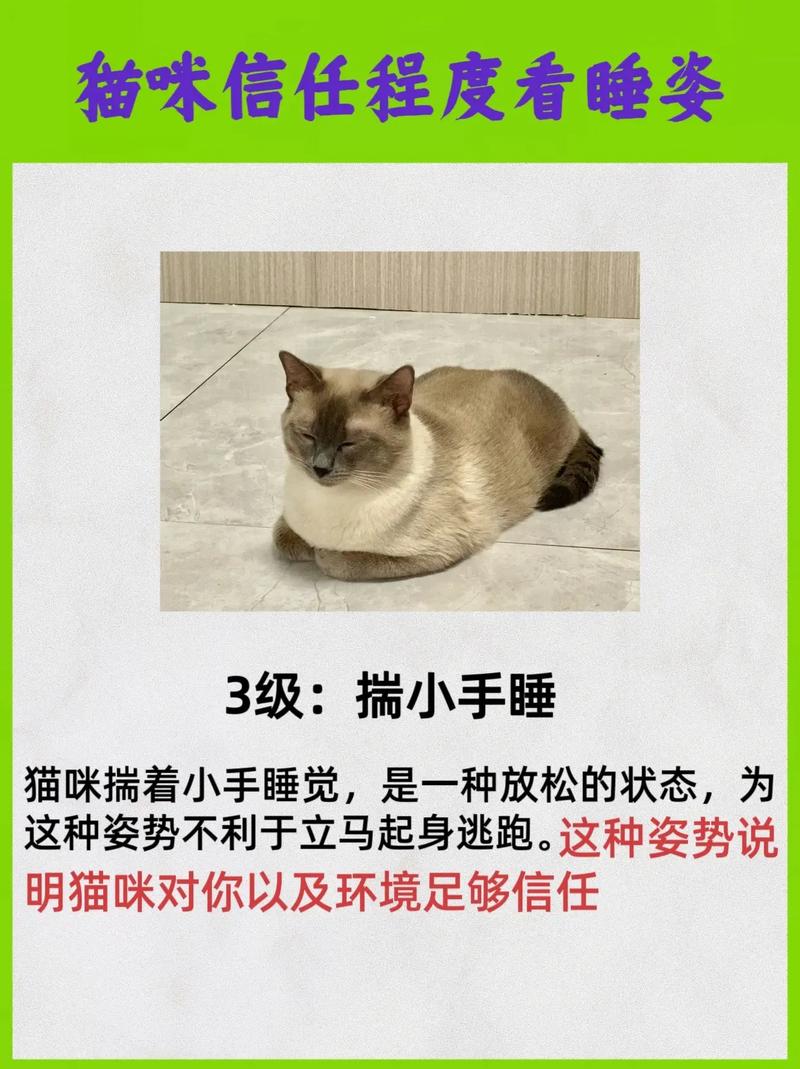 如何证明你家的猫是卧底(猫怎么知道自己是猫)