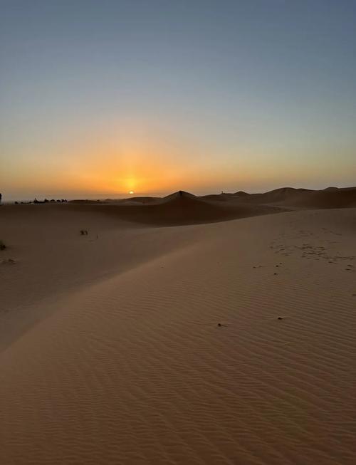 撒哈拉沙漠曾是大草原(撒哈拉沙漠原来的样子)