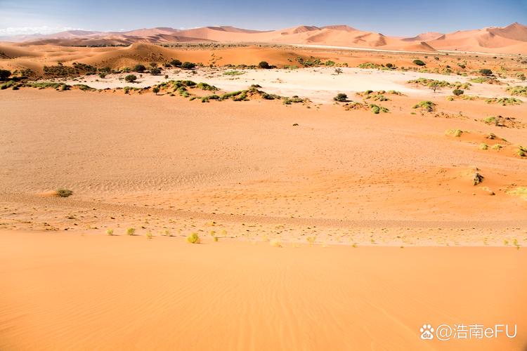 撒哈拉沙漠曾是大草原(撒哈拉沙漠原来的样子)
