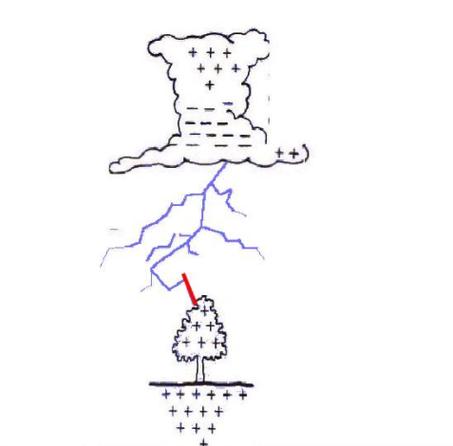 火山闪电的形成机制(火山闪电的形成机制有哪些)