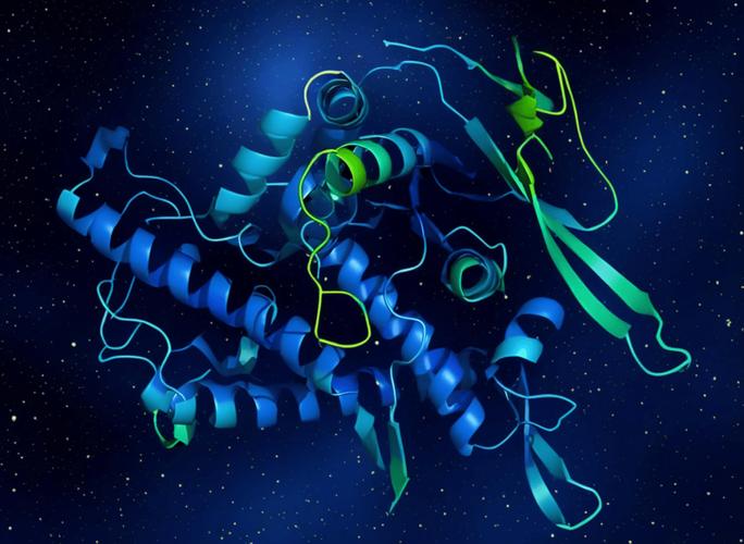 人工智能设计的新蛋白质(人工智能 蛋白质)