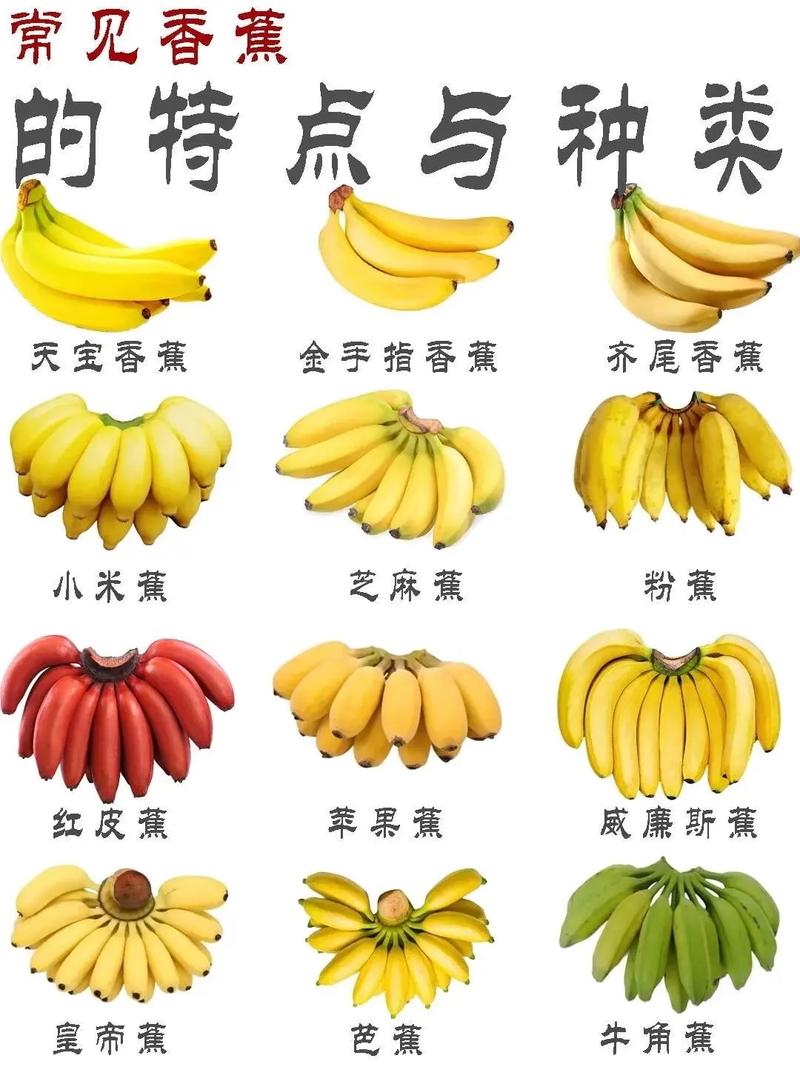 香蕉其实是浆果(香蕉其实是浆果还是果实)