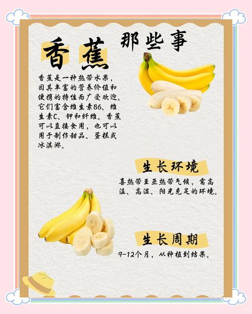 香蕉其实是浆果(香蕉其实是浆果还是果实)