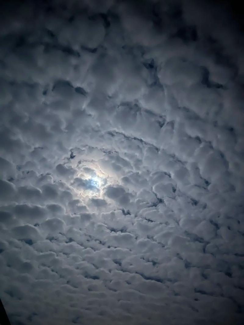 地震云是科学还是玄学(地震云属于什么云)